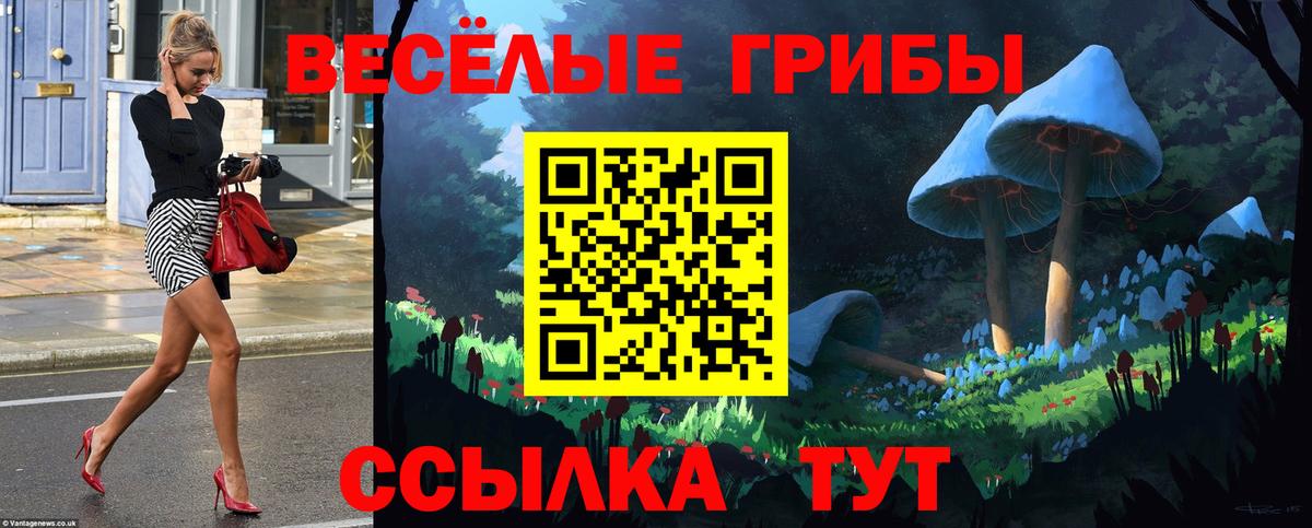 Псилоцибиновые грибы GOLDEN TEACHER  Псилоцибиновые грибы мухоморы  Знаменск  Вход с VPN 