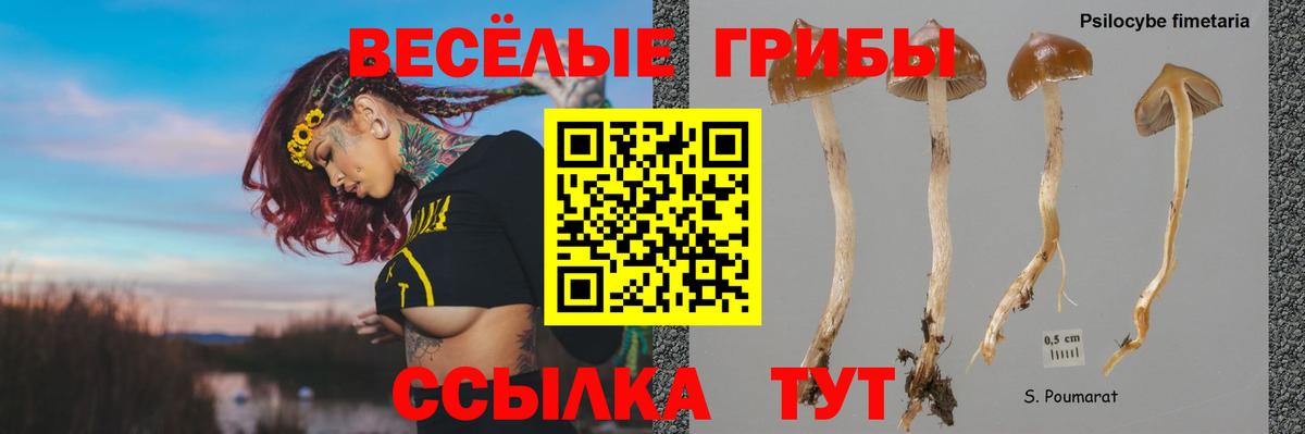 Галлюциногенные грибы GOLDEN TEACHER Знаменск